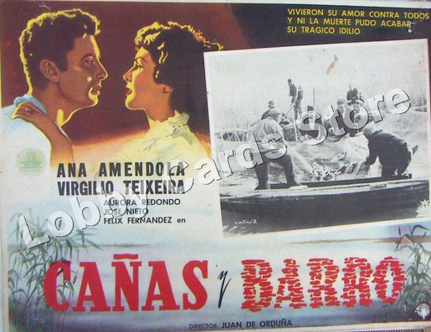ANA AMENDOLA -/  CAÑAS Y BARRO